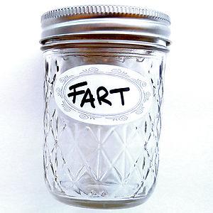 FART-IN-A-JAR-Hilarious-Gag-Gift-Booby-Prize-Gift-CAUTION-IT-STINKS-REALLY-BAD--p628712